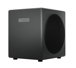 LFE12 Subwoofer