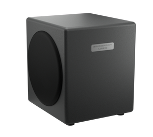 LFE12 Subwoofer