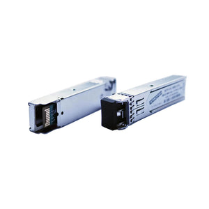 SFP SM