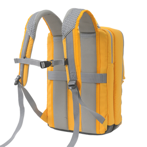 OR-554 Yellow